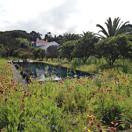 Villa Quinta Do Miguel Aldeia do Meco Exterior foto