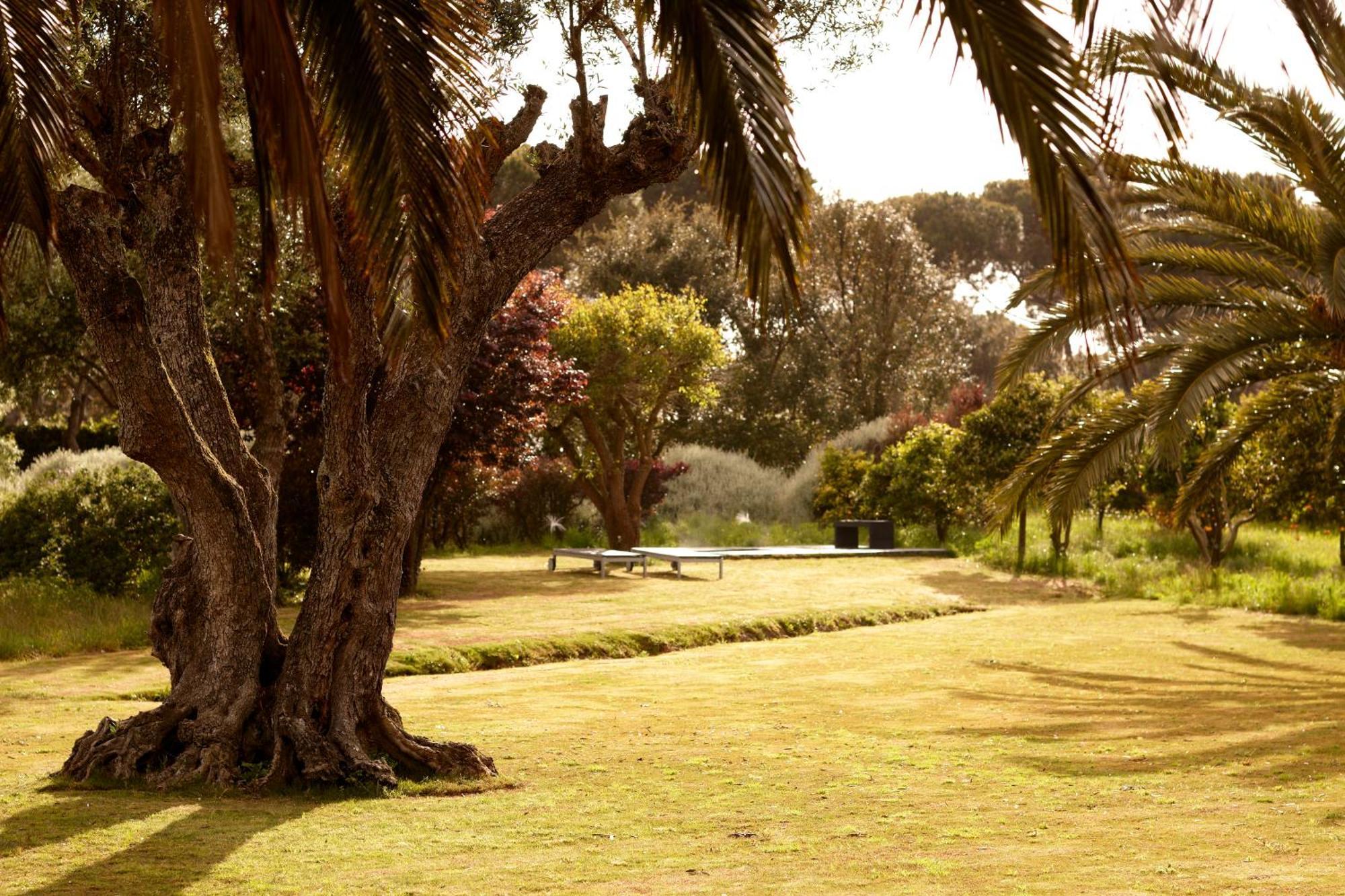 Villa Quinta Do Miguel Aldeia do Meco Exterior foto
